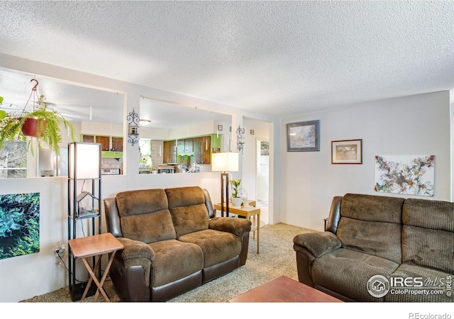 903 3rd St, Pierce, CO 80650 - photo 8