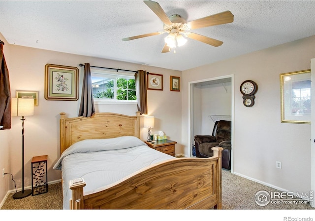 903 3rd St, Pierce, CO 80650 - photo 16