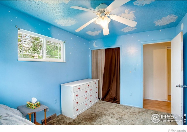 903 3rd St, Pierce, CO 80650 - photo 22