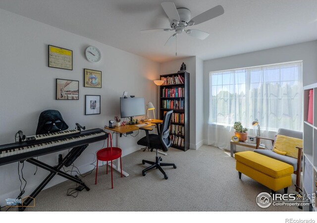 2005 Aster Ln, Lafayette, CO 80026 - photo 31