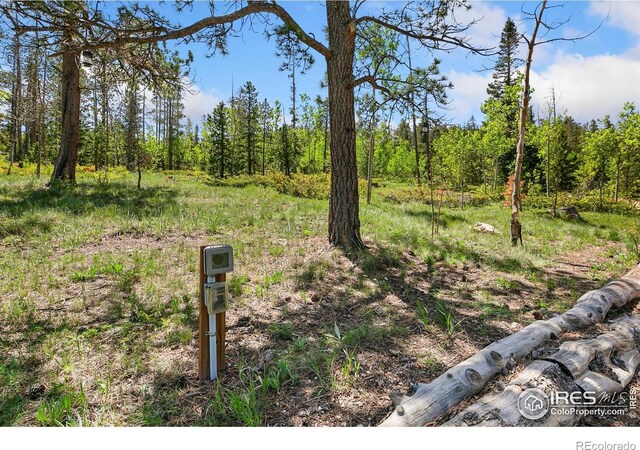 5481 N County Road 73c, Red Feather Lakes, CO 80545