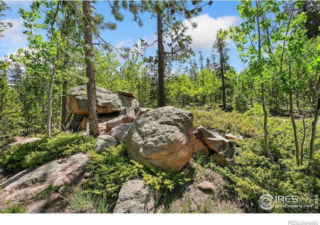 5481 N County Road 73c, Red Feather Lakes, CO 80545