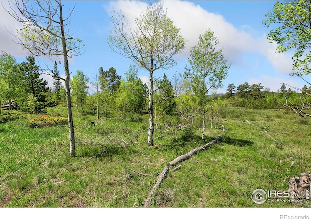 5481 N County Road 73c, Red Feather Lakes, CO 80545