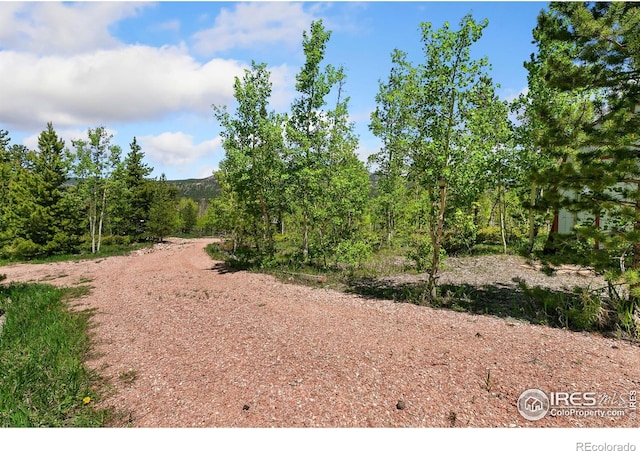 5481 N County Road 73c, Red Feather Lakes, CO 80545