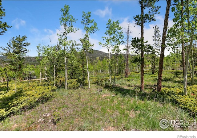5481 N County Road 73c, Red Feather Lakes, CO 80545