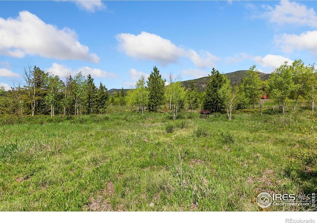 5481 N County Road 73c, Red Feather Lakes, CO 80545