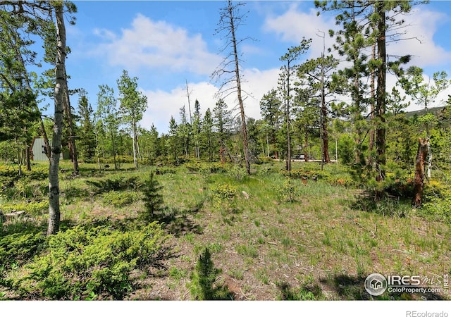 5481 N County Road 73c, Red Feather Lakes, CO 80545