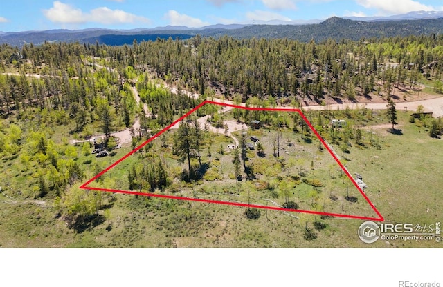 5449 N County Road 73c, Red Feather Lakes, CO 80545 - photo 1