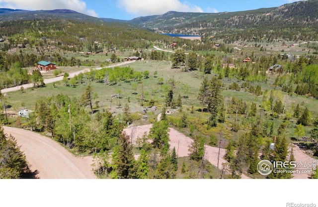 5449 N County Road 73c, Red Feather Lakes, CO 80545 - photo 3