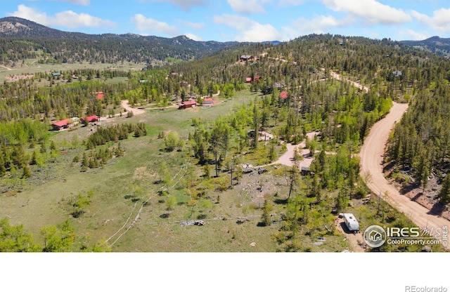 5449 N County Road 73c, Red Feather Lakes, CO 80545 - photo 4