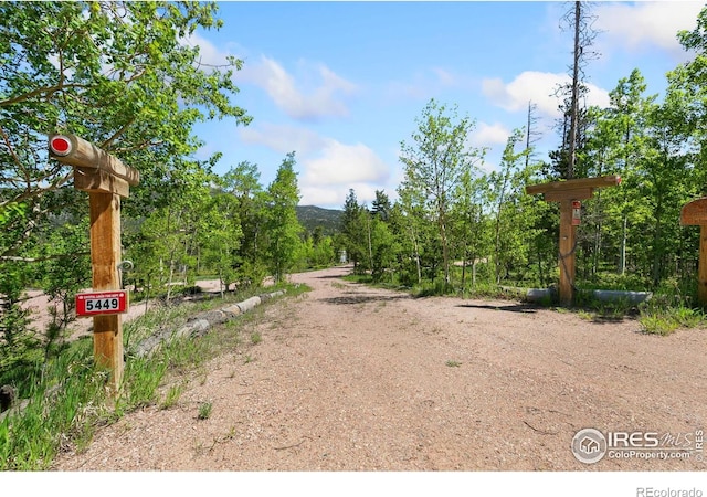 5449 N County Road 73c, Red Feather Lakes, CO 80545 - photo 5