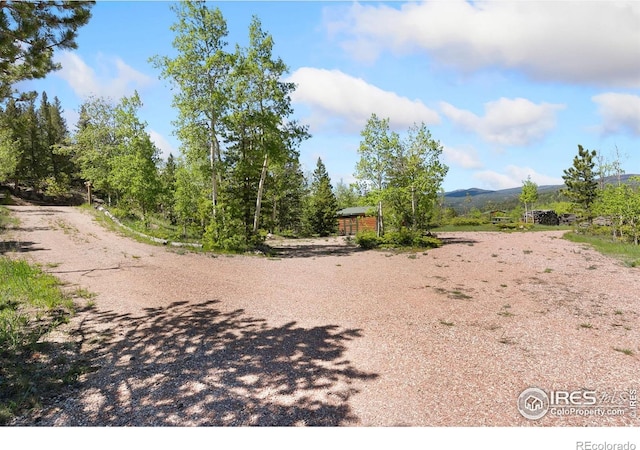 5449 N County Road 73c, Red Feather Lakes, CO 80545 - photo 6