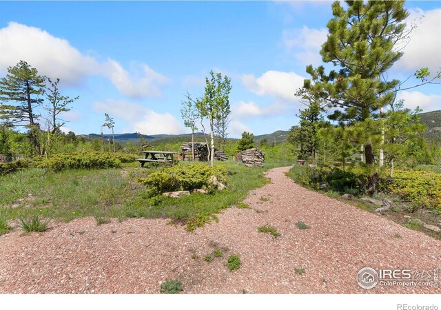5449 N County Road 73c, Red Feather Lakes, CO 80545 - photo 7