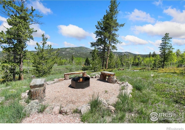 5449 N County Road 73c, Red Feather Lakes, CO 80545 - photo 8