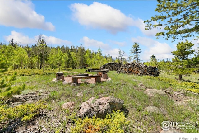 5449 N County Road 73c, Red Feather Lakes, CO 80545 - photo 10