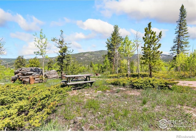 5449 N County Road 73c, Red Feather Lakes, CO 80545 - photo 11