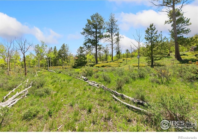 5449 N County Road 73c, Red Feather Lakes, CO 80545 - photo 12