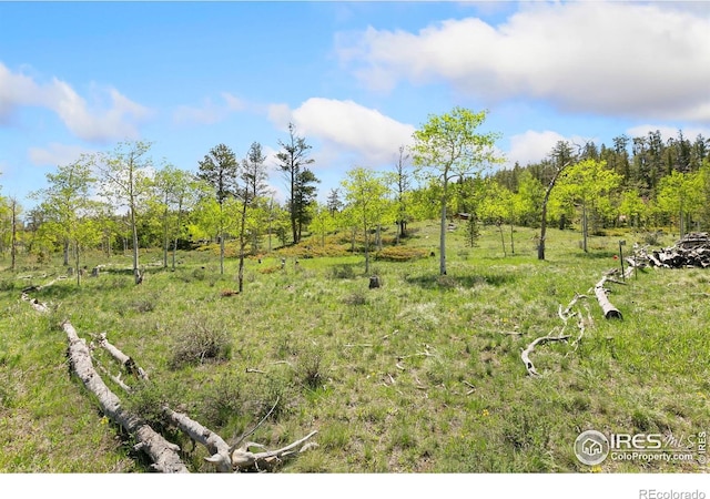 5449 N County Road 73c, Red Feather Lakes, CO 80545 - photo 13