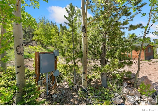 5449 N County Road 73c, Red Feather Lakes, CO 80545 - photo 19