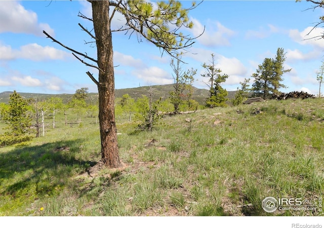 5449 N County Road 73c, Red Feather Lakes, CO 80545 - photo 23