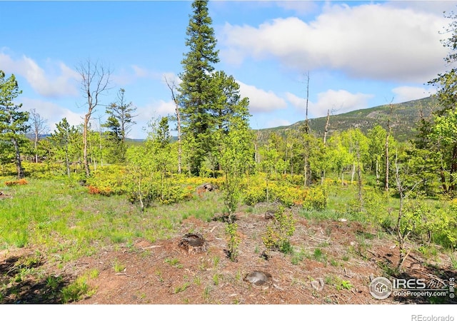 5449 N County Road 73c, Red Feather Lakes, CO 80545 - photo 24