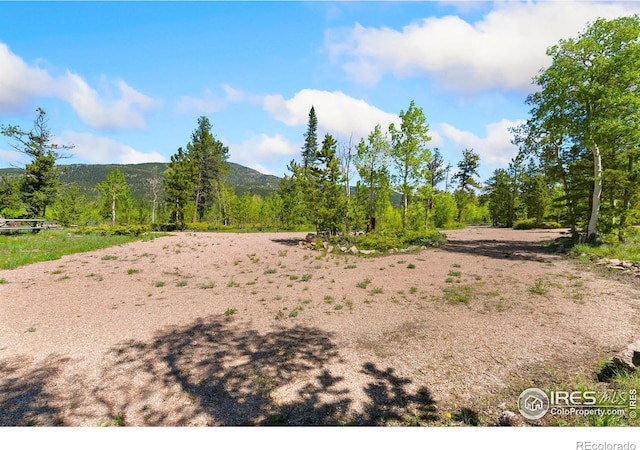 5449 N County Road 73c, Red Feather Lakes, CO 80545 - photo 25
