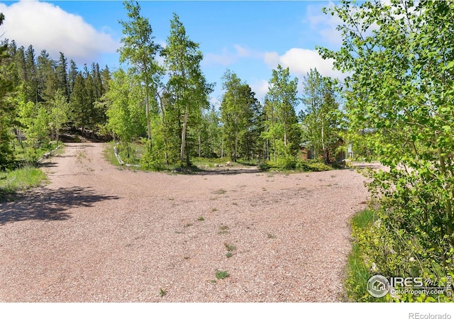 5449 N County Road 73c, Red Feather Lakes, CO 80545 - photo 26