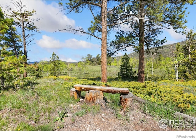 5449 N County Road 73c, Red Feather Lakes, CO 80545 - photo 27
