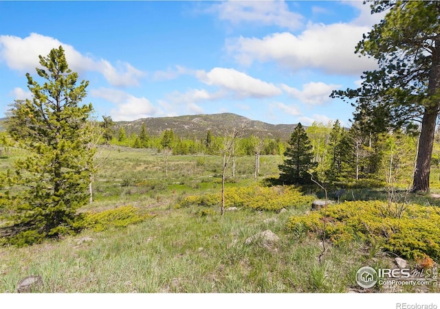 5449 N County Road 73c, Red Feather Lakes, CO 80545 - photo 29