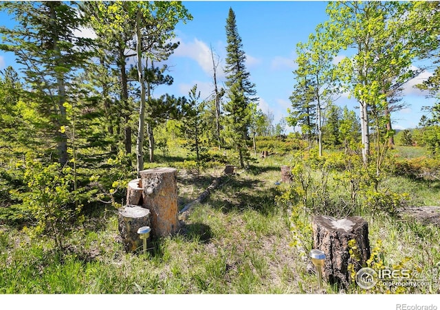 5449 N County Road 73c, Red Feather Lakes, CO 80545 - photo 30