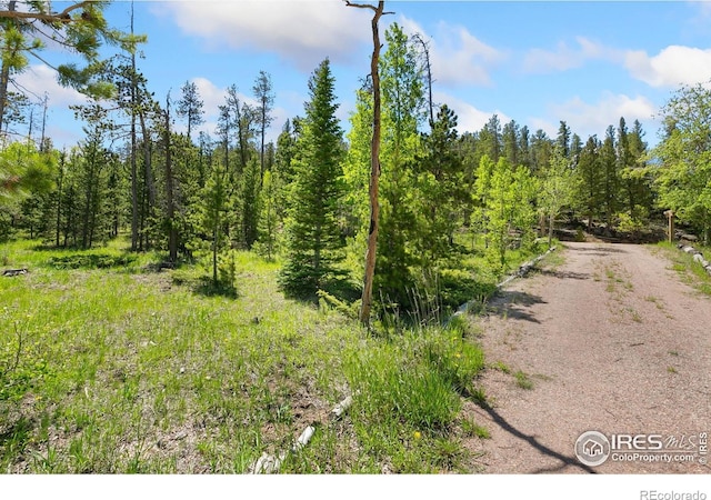 5449 N County Road 73c, Red Feather Lakes, CO 80545 - photo 31