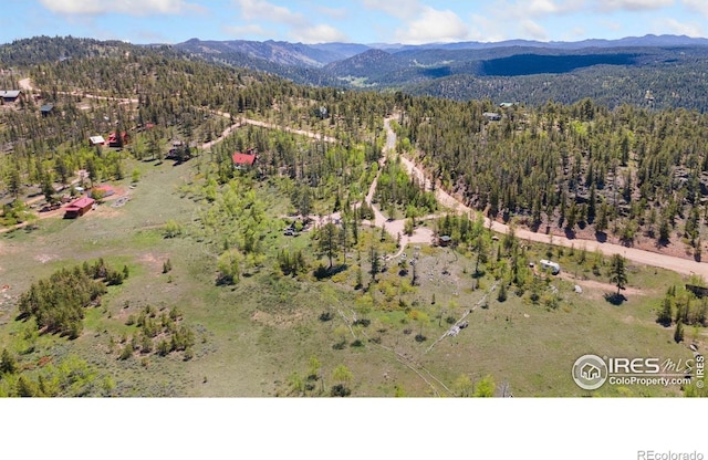 5449 N County Road 73c, Red Feather Lakes, CO 80545 - photo 34