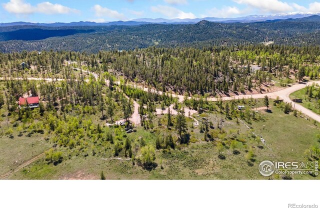 5449 N County Road 73c, Red Feather Lakes, CO 80545 - photo 35