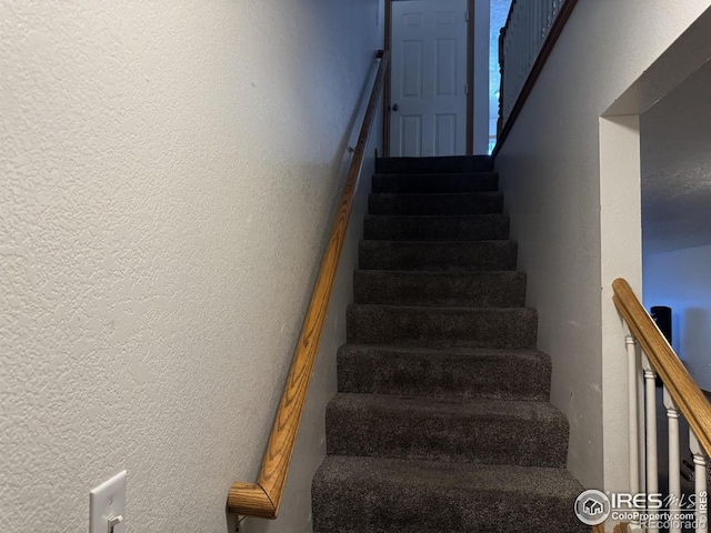 3407 33rd Avenue Ct, Greeley, CO 80634 - photo 6