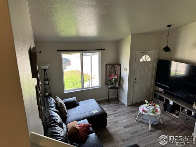 3315 W 35th St, Greeley, CO 80634 - living area with wood finished floors and a textured ceiling