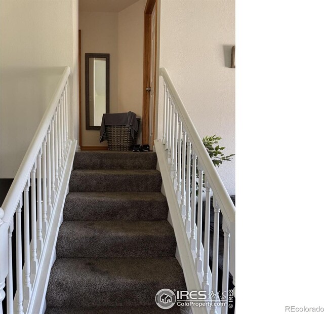 3315 W 35th St, Greeley, CO 80634 - stairs featuring carpet flooring