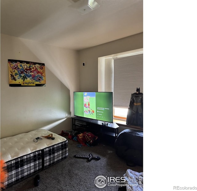 3315 W 35th St, Greeley, CO 80634 - view of carpeted living area