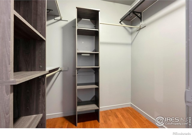 2958 Syracuse St Unit 306, Denver, CO 80238 - photo 19