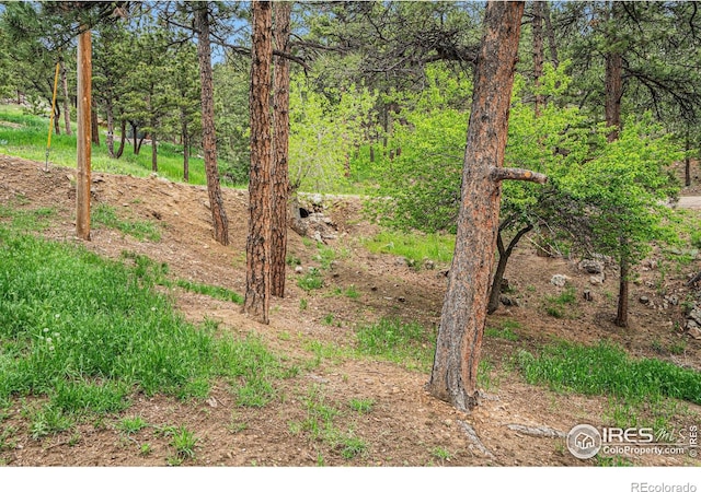 151 Green Mountain Dr, Loveland, CO 80537 - photo 22