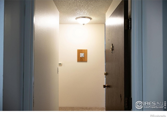 3150 Iris Ave Unit 303, Boulder, CO 80301 - photo 4