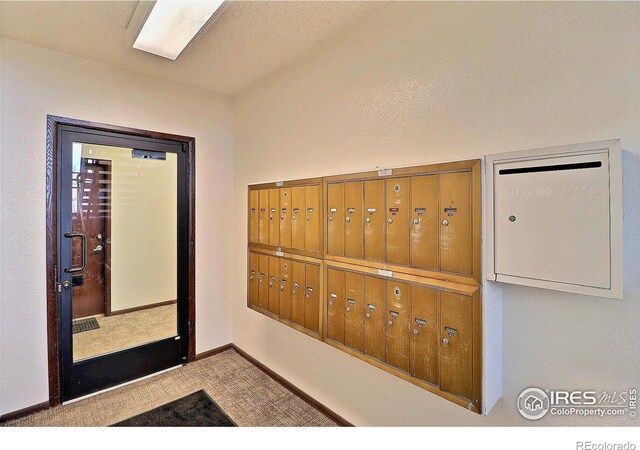 2837 W 28th St Unit 49, Greeley, CO 80634 - photo 21
