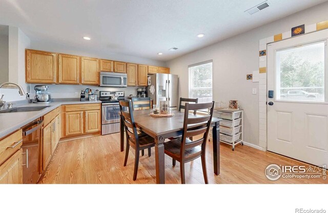821 Benson Ln, Fort Collins, CO 80525 - photo 6