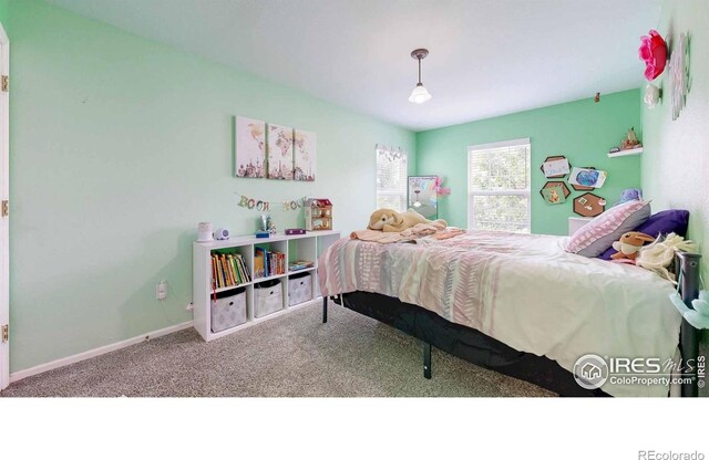 821 Benson Ln, Fort Collins, CO 80525 - photo 14