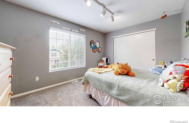 821 Benson Ln, Fort Collins, CO 80525 - photo 20