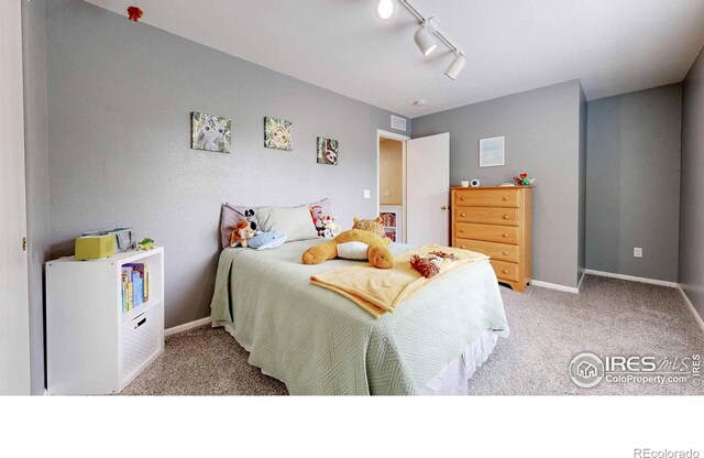 821 Benson Ln, Fort Collins, CO 80525 - photo 21