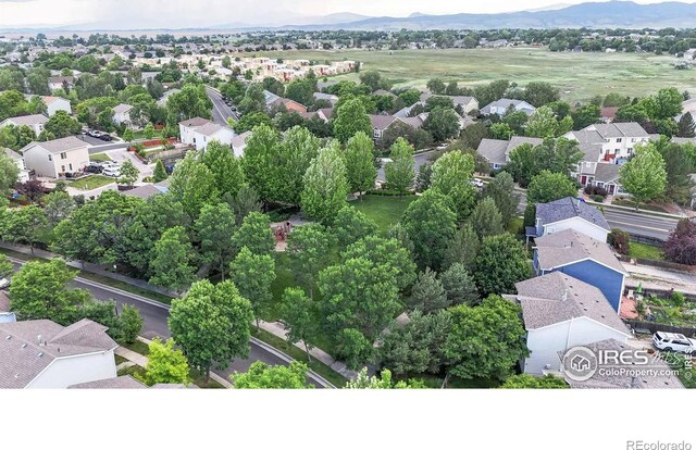 821 Benson Ln, Fort Collins, CO 80525 - photo 37