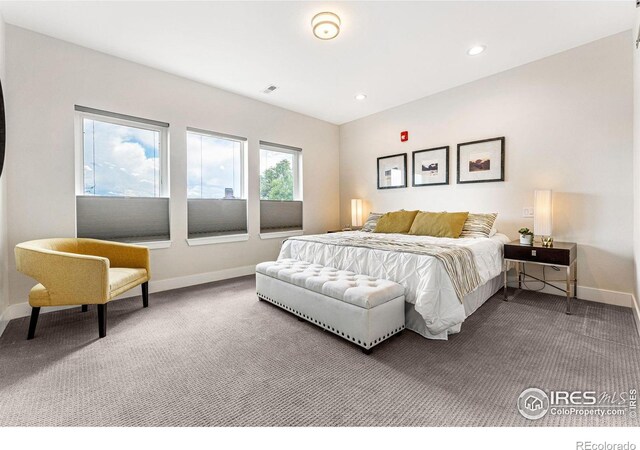 3450 N Downing St Unit 4, Denver, CO 80205 - bedroom with carpet flooring and recessed lighting