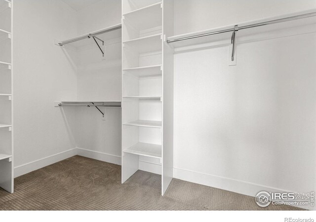 3450 N Downing St Unit 4, Denver, CO 80205 - spacious closet with carpet flooring