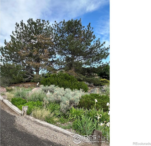 13748 Downing St, Brighton, CO 80602