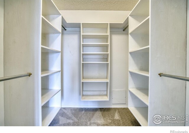 13748 Downing St, Brighton, CO 80602